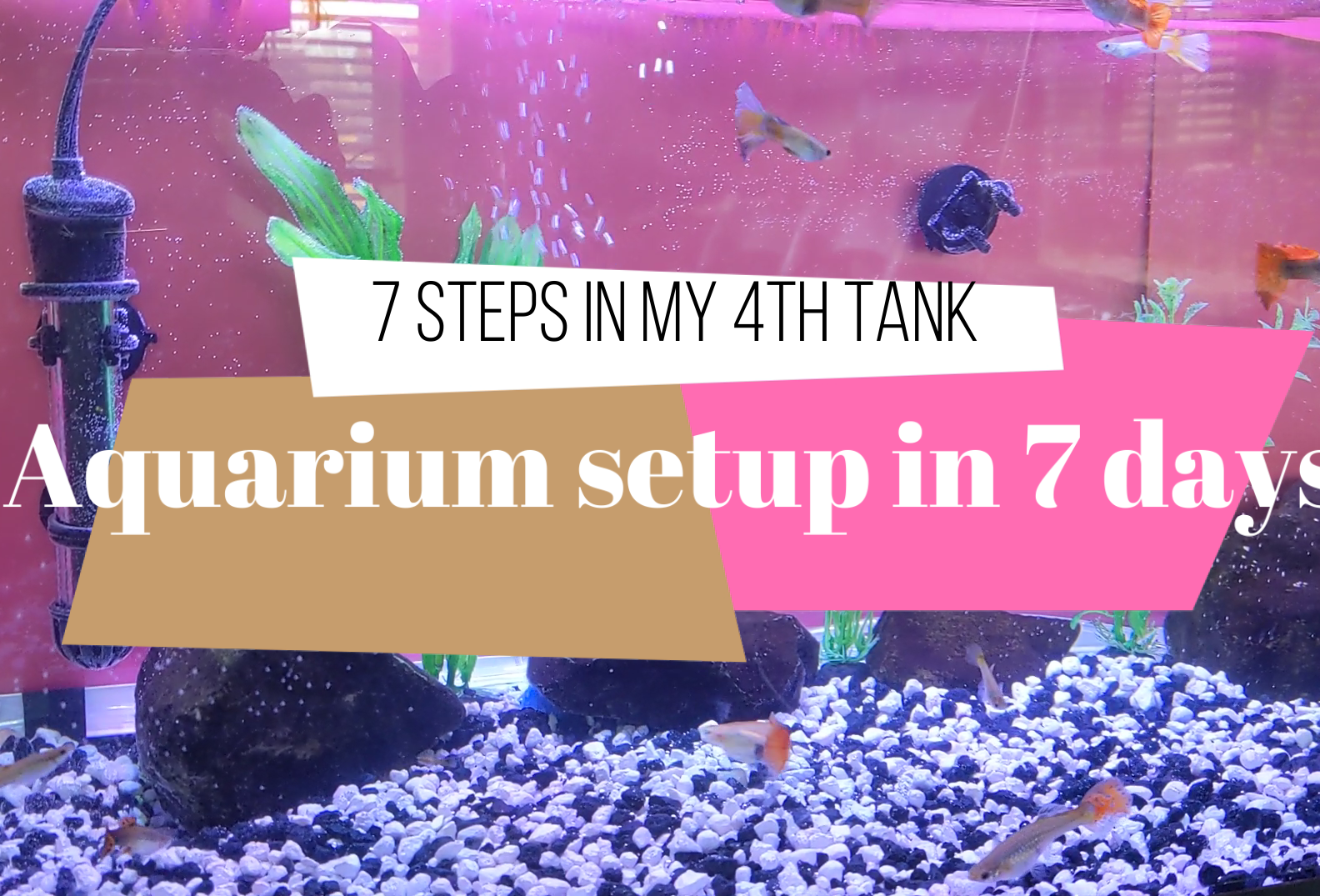 Aquarium